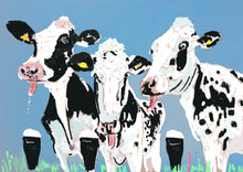 Load image into Gallery viewer, Cows
