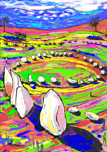Beaghmore Stone Circles, Tyrone